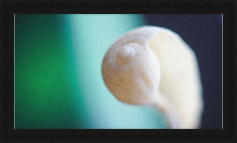 Shell CA2695