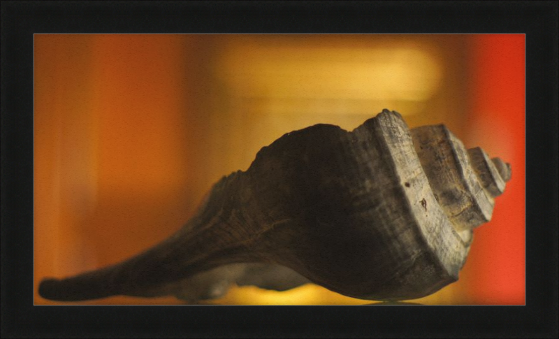 Shell CA2963