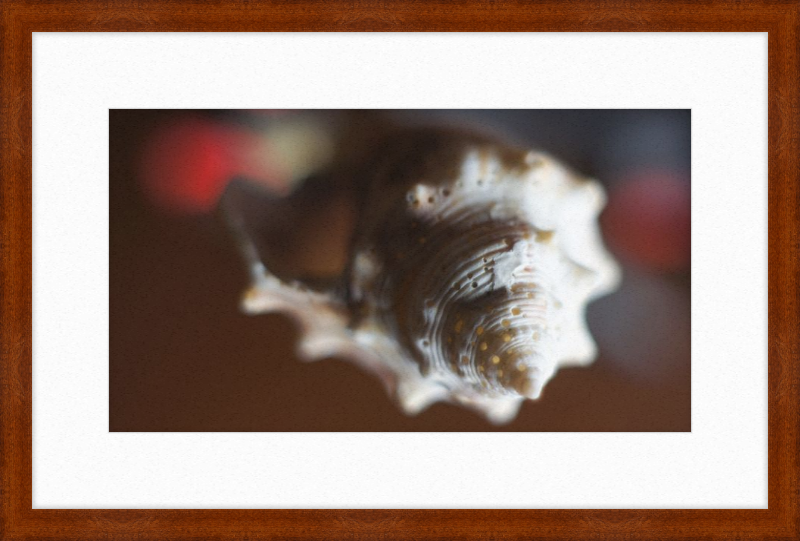 Shell CA2663