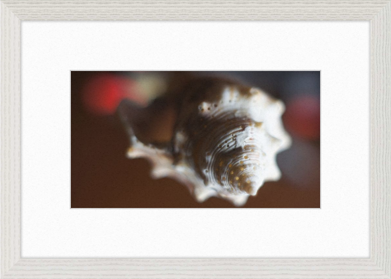 Shell CA2663