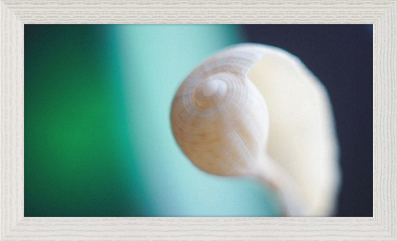Shell CA2695