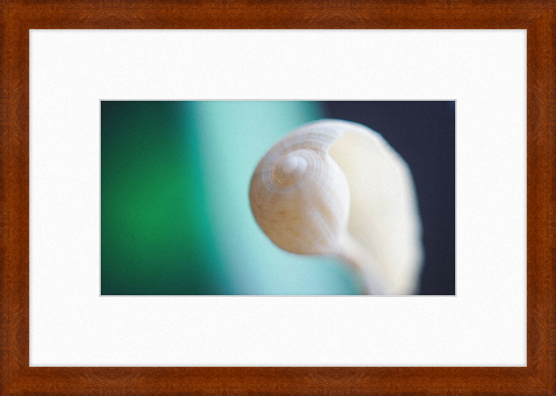 Shell CA2695