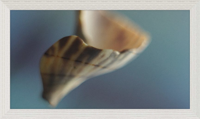 Shell CA2717