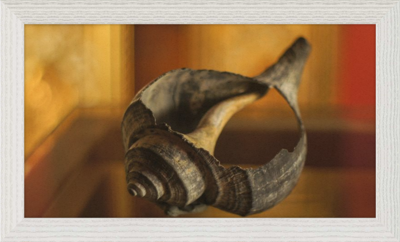Shell CA2967