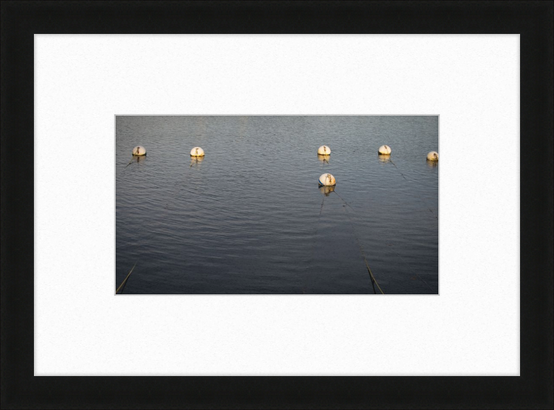 Early Morning Moorings